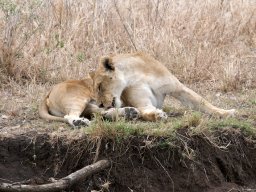 Western_Corridor2009-115